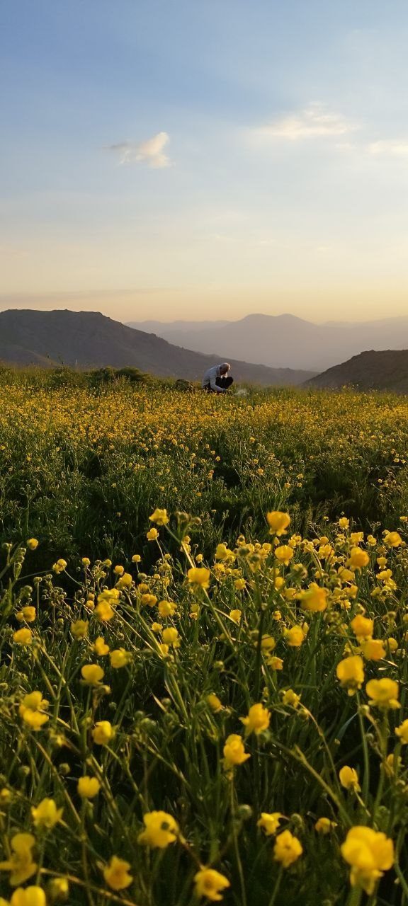 قله قولی زلیخا باشگاه کوهنوردی زاگرس