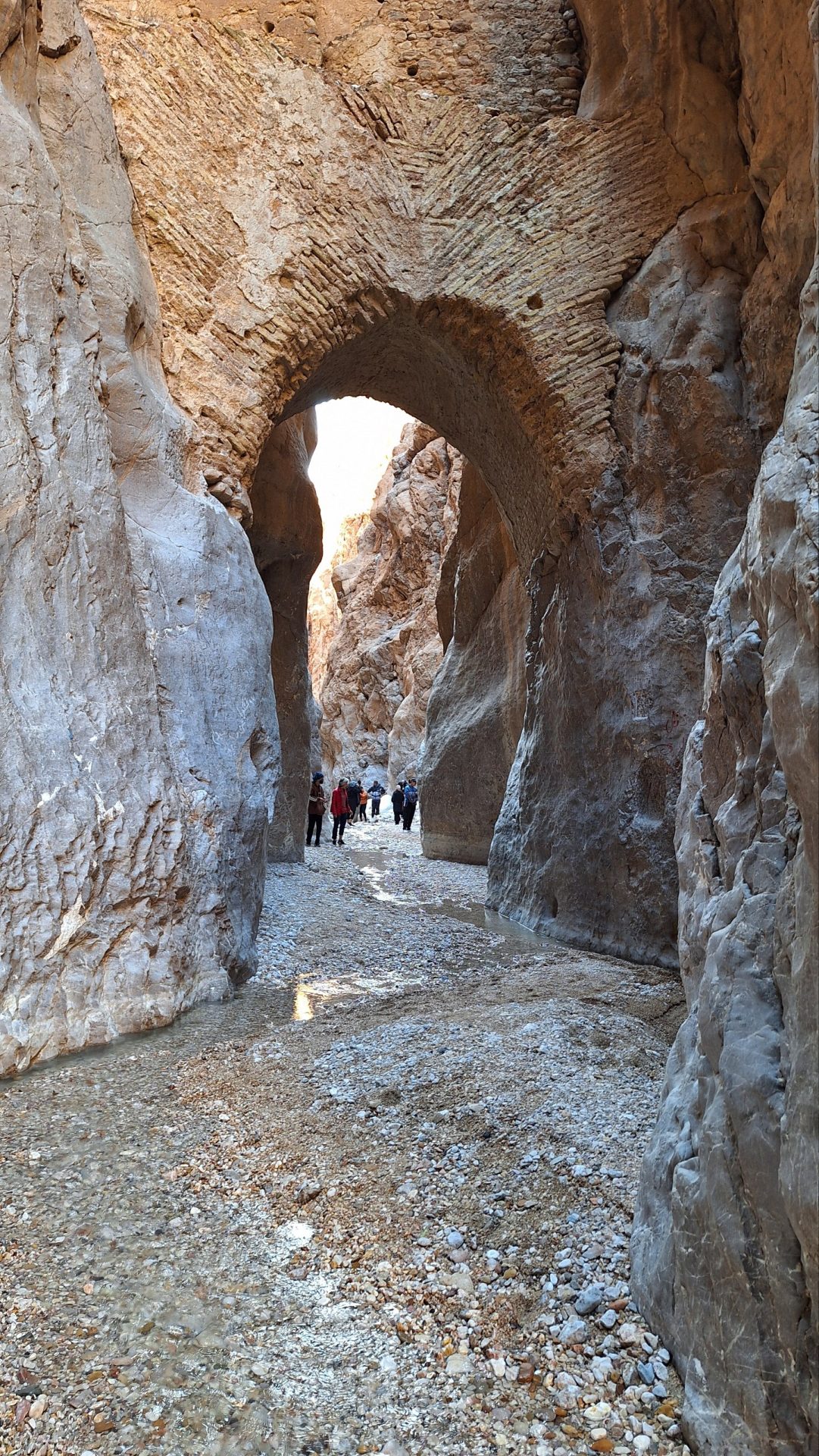 گزارش صعود به قله نایبند؛ بام استان خراسان جنوبی (طرح سیمرغ کوههای ایران)
