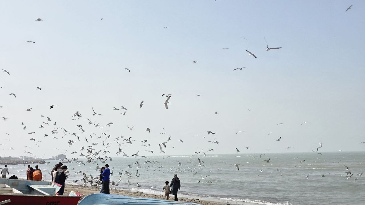 گزارش صعود اعضای باشگاه کوهنوردی زاگرس به قله بیرمی (بام استان بوشهر)