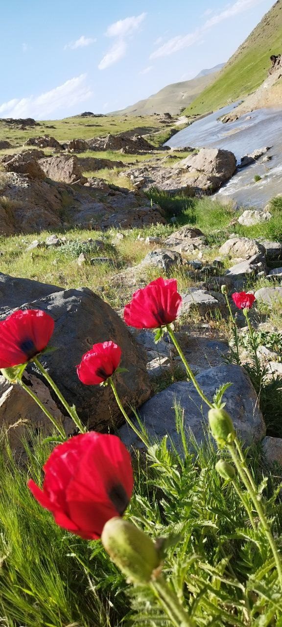 قله قولی زلیخا باشگاه کوهنوردی زاگرس